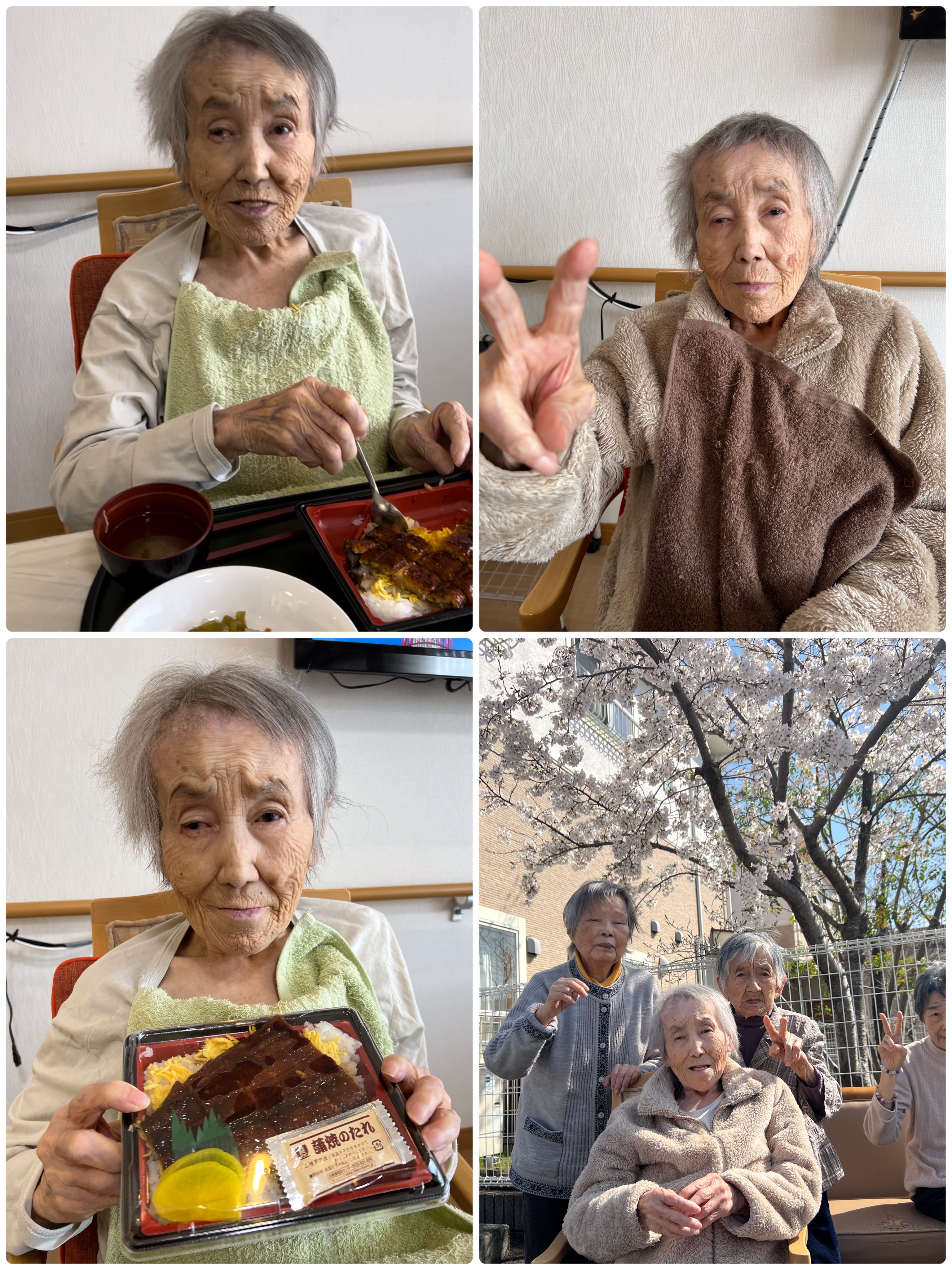 有料老人ホームはたさきで、食事や花見を楽しむ入居者の様子