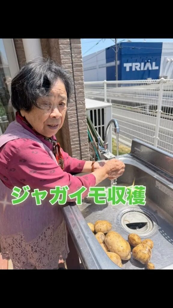 収穫したジャガイモと、いちごを囲むひとときの写真 2