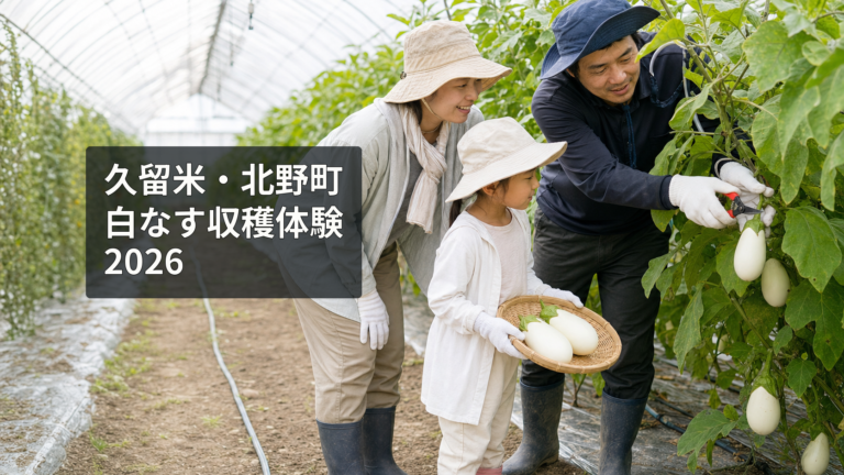 久留米・北野町の白なす収穫体験2026｜料金、電話相談、暑さ対策のアイキャッチ画像