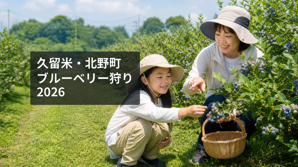 久留米市北野町のブルーベリー農園で日本人の親子が日よけ帽子を着け、熟した実を一粒ずつ摘み取っている夏の風景