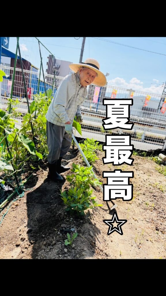 Kさんと夏野菜に感謝を込めて｜楽しい調理レクの写真 1