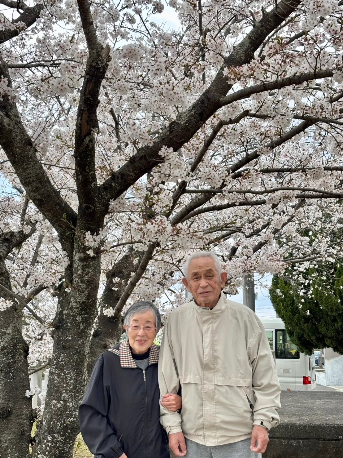 桜の木の下で並ぶめぐみ苑の入居者