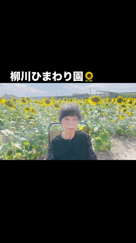 柳川ひまわり園へ｜夏の景色を楽しむドライブ第二弾の写真 3