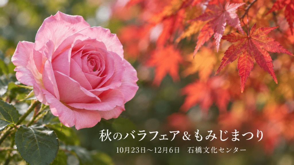 バラともみじを使った石橋文化センターの秋の催しの案内画像